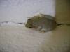 2005_0930_180702.JPG